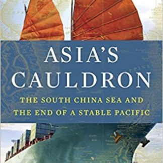 Asia's Cauldron: The South China Sea and the End of a Stable Pacific (Paperback)