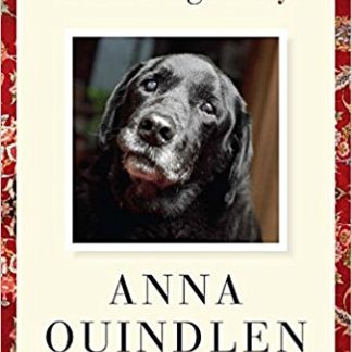 Good Dog. Stay. (Hardcover)