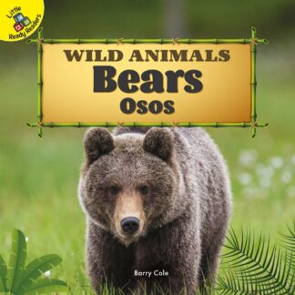Wild Animals: Bears - Osos