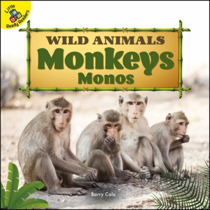 Wild Animals: Monkeys Monos