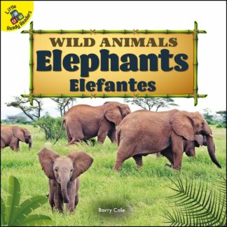 Wild Animals: Elephants Elefantes