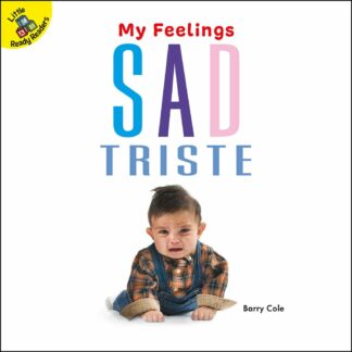 My Feelings: Sad Triste (Board Books)