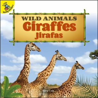 Wild Animals: Giraffes